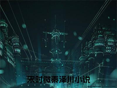 想你时风起小说免费全本-宋时微秦泽川小说（想你时风起完整版）免费阅读