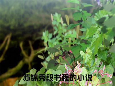 苏锦秀段书程小说免费阅读(苏锦秀段书程)全文免费阅读无弹窗大结局_ 苏锦秀段书程最新章节列表_笔趣阁（苏锦秀段书程小说）