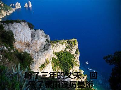 秦雨溪厉墨珩小说(盼了三年的丈夫，回来了)全文免费阅读无弹窗_秦雨溪厉墨珩小说全文免费阅读)盼了三年的丈夫，回来了最新章节列表笔趣阁（盼了三年的丈夫，回来了）