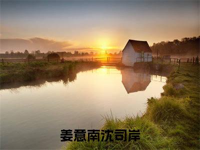 姜意南沈司岸小说全文（姜意南沈司岸）精选知乎免费小说_姜意南沈司岸小说全文最新章节列表