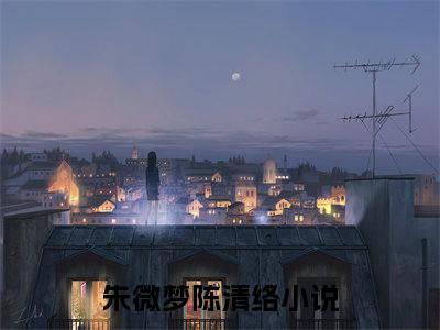 朱微梦陈清络小说_朱微梦陈清络全文阅读_小说免费阅读最新章节列表(朱微梦陈清络)笔趣阁