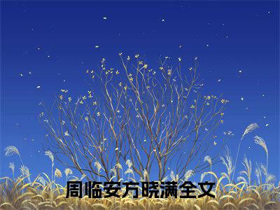 周临安方晓满小说（周临安方晓满）全文免费阅读无弹窗大结局_（周临安方晓满小说全文免费阅读无弹窗）周临安方晓满最新章节列表_笔趣阁（周临安方晓满小说）