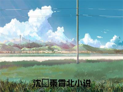 沈玥秦霄北最新章节（沈玥秦霄北）全文免费阅读无弹窗大结局_沈玥秦霄北全文免费阅读