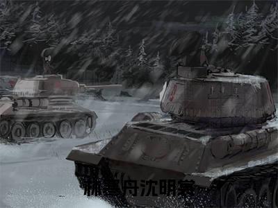 精选小说林寒舟沈明裳（林寒舟沈明裳）全本阅读_林寒舟沈明裳免费阅读_笔趣阁