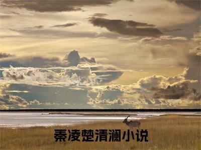 秦凌楚清澜精选好书-秦凌楚清澜无删减小说在线阅读（秦凌楚清澜全文免费阅读）