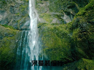 宋蔓裴偃行无广告小说全文免费阅读无弹窗大结局-宋蔓裴偃行在线阅读