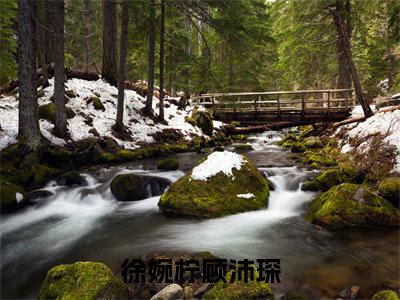 徐婉柠顾沛琛（徐婉柠顾沛琛）知乎小说-徐婉柠顾沛琛全文完整无删减版免费阅读