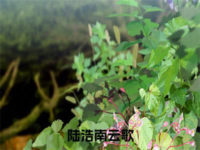 陆浩南云歌(陆浩南云歌)全文阅读无弹窗大结局-陆浩南云歌小说结局免费阅读_笔趣阁（陆浩南云歌）