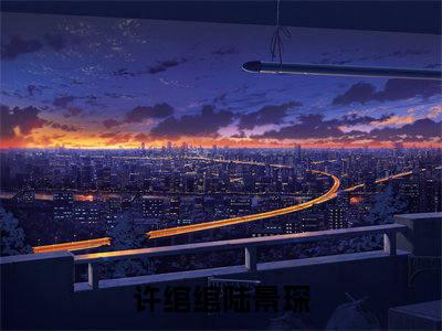 主角为许绾绾陆景琛的言情小说讲的是什么-（许绾绾陆景琛）小说在线阅读