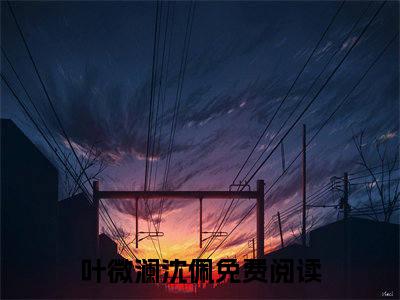 叶微澜沈佩全文免费阅读无弹窗大结局_(叶微澜沈佩阅读全文大结局)叶微澜沈佩最新章节列表（叶微澜沈佩）