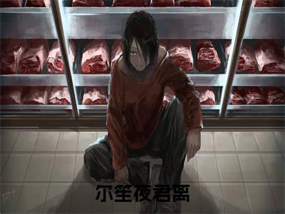 这一剑，终于斩尽我身体里最后一丝爱（尔笙夜君离）全文免费阅读无弹窗完整版，(这一剑，终于斩尽我身体里最后一丝爱)免费阅读全文最新章节列表_笔趣阁