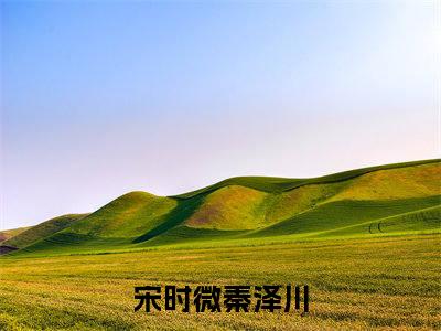 宋时微秦泽川小说（宋时微秦泽川）全文免费阅读无弹窗大结局_宋时微秦泽川小说最新章节列表_笔趣阁（宋时微秦泽川）