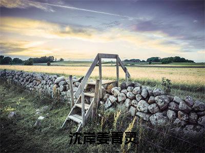 沈岸姜青灵(沈岸姜青灵)全文免费沈岸姜青灵读无弹窗大结局_ 沈岸姜青灵无弹窗最新章节列表_笔趣阁