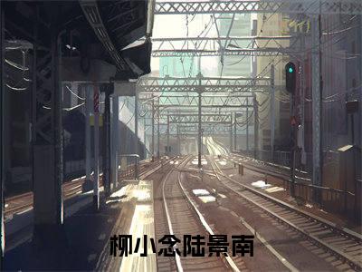 柳小念陆景南小说后续阅读无弹窗大结局_（柳小念陆景南阅读无弹窗）最新章节列表_笔趣阁（柳小念陆景南）