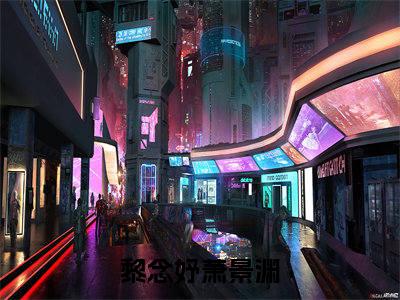 黎念妤萧景渊（黎念妤萧景渊）在线阅读大结局-黎念妤萧景渊小说最新章节阅读-笔趣阁