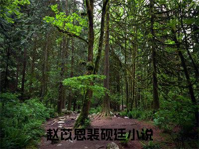 赵苡恩裴砚廷是什么小说_赵苡恩裴砚廷小说是《赵苡恩裴砚廷》
