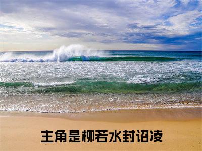 （柳若水封诏凌）小说免费阅读-柳若水封诏凌全文无弹窗阅读