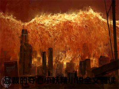 贺守宇沈舟舟（总裁的夺心小妖精）全文免费大结局小说-贺守宇沈舟舟全文最新章节阅读