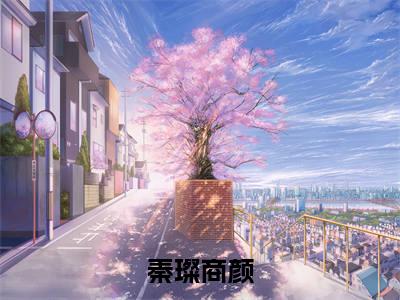 秦璨商颜豪门小说全章节阅读-秦璨商颜全文免费阅读
