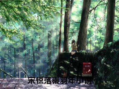 宋惊落秦羽年免费阅读无广告 （宋惊落秦羽年大结局免费阅读）宋惊落秦羽年是啥小说