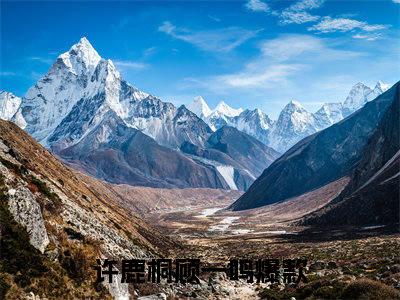 许鹿桐顾一鸣（许鹿桐顾一鸣 ）全文免费阅读_许鹿桐顾一鸣言诺诺,井傅宸 小说最新章节列表笔趣阁