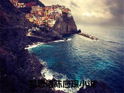 贺思洁陈应琛高质量热文推荐试读-贺思洁陈应琛完整章节阅读