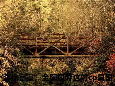 姜念谢无妄（恋综官宣，全网直呼这对cp真配）全文免费阅读_恋综官宣，全网直呼这对cp真配全文阅读_笔趣阁