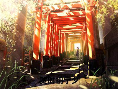 贺时初宁夕小说全文（我怎么输得起）全文免费阅读无弹窗大结局_我怎么输得起小说免费最新章节列表_笔趣阁（贺时初宁夕）
