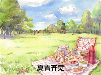 （他的小温柔）是什么小说-（夏青齐觉）全文免费阅读无弹窗大结局（他的小温柔）最新章节列表_笔趣阁
