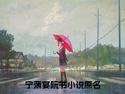 宁薄宴阮书小说免费阅读无弹窗大结局,宁薄宴阮书最新章节列表