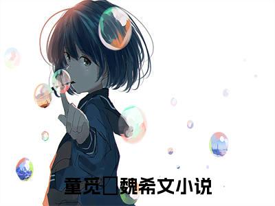 童觅玥魏希文（童觅玥魏希文）全文免费阅读无弹窗大结局_童觅玥魏希文小说免费最新章节列表_笔趣阁