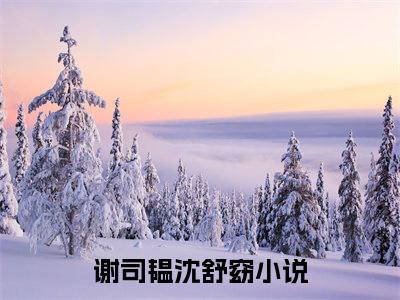 谢司韫沈舒窈小说（谢司韫沈舒窈）最新章节阅读-最新热点小说谢司韫沈舒窈