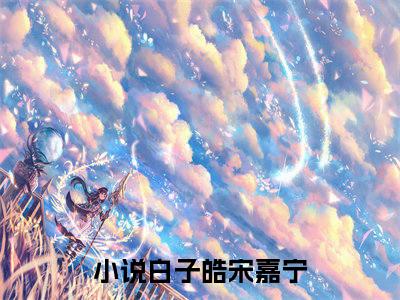 白子皓宋嘉宁小说限时免费,白子皓宋嘉宁完结版小说阅读无弹窗_笔趣阁