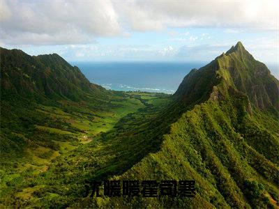 沈暖暖霍司寒免费阅读无弹窗大结局，沈暖暖霍司寒（最新全章节）全文阅读免费阅读-笔趣阁