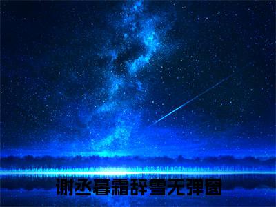 （谢丞暮霜辞雪小说免费阅读）谢丞暮霜辞雪全文免费阅读无弹窗大结局-谢丞暮霜辞雪全文免费版阅读