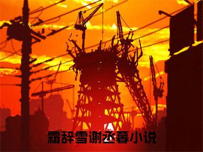主角为霜辞雪谢丞暮的言情小说讲的是什么-正版小说全文阅读