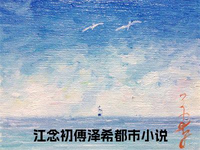 江念初傅泽希小说完整版阅读 江念初傅泽希全文在线赏析