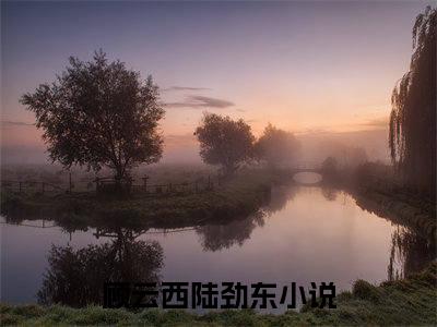 顾云西陆劲东(顾云西陆劲东)全文免费阅读无弹窗大结局_(顾云西陆劲东)免费阅读无弹窗最新章节列表