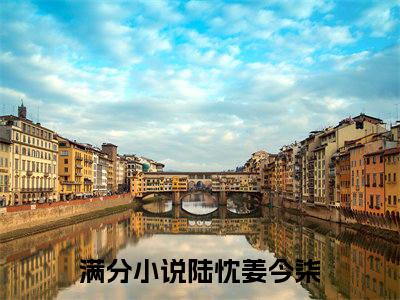 陆忱姜今柒（陆忱姜今柒）最新章节阅读-（陆忱姜今柒）免费阅读大结局无弹窗