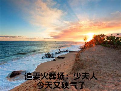 林墨染傅潮生追妻火葬场：少夫人今天又硬气了全文完整版-追妻火葬场：少夫人今天又硬气了小说在线阅读