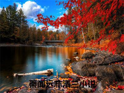 秦闻远林清兰全文免费阅读（秦闻远林清兰小说）全文免费阅读无弹窗大结局_(秦闻远林清兰小说小说免费阅读)最新章节列表_（秦闻远林清兰）