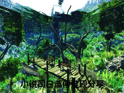 司白鸢傅淮砚小说全文大结局-司白鸢傅淮砚（司白鸢傅淮砚）小说全文免费阅读
