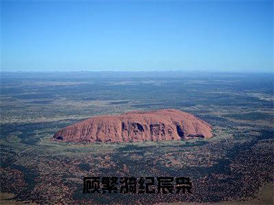 顾繁漪纪宸枭人气小说全本免费阅读
