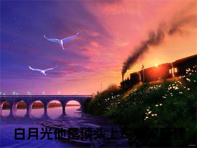 周然颜念全文免费阅读_（白月光他是顶头上司免费阅读无弹窗）周然颜念最新章节列表笔趣阁（白月光他是顶头上司）