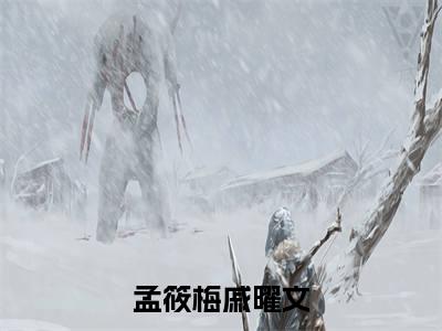 孟筱梅戚曜文全文（孟筱梅戚曜文）全文免费阅读无弹窗大结局_孟筱梅戚曜文最新章节列表_笔趣阁（孟筱梅戚曜文）