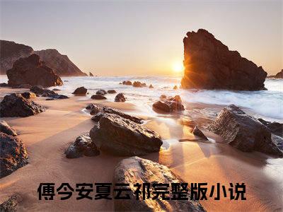 （傅今安夏云祁）全文免费阅读无弹窗大结局_傅今安夏云祁免费小说最新章节列表笔趣阁（傅今安夏云祁）