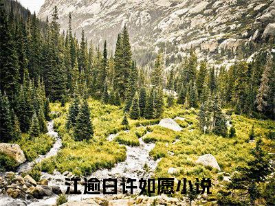 江逾白许如愿小说全文免费阅读无弹窗大结局-江逾白许如愿 小说在哪里可以看