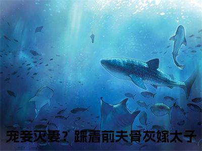 小说宠妾灭妻？踩着前夫骨灰嫁太子全文免费阅读无弹窗大结局-盛清欢楚誉风宠妾灭妻？踩着前夫骨灰嫁太子免费阅读大结局
