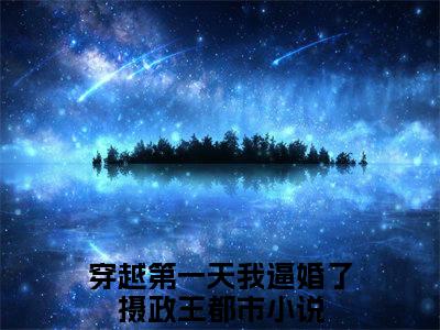穿越第一天我逼婚了摄政王小说最新章节阅读-萧千决沈惊鸿全文免费试读