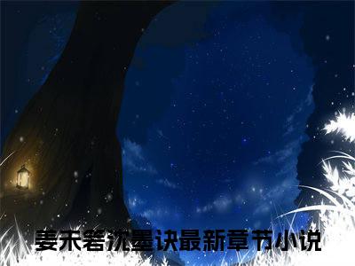 姜未箬沈墨诀（姜未箬沈墨诀）微小说-姜未箬沈墨诀最新章节免费阅读